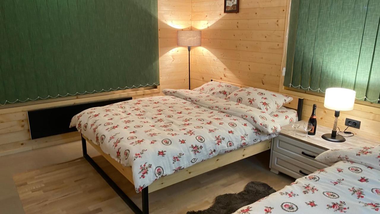 Alexandar Studio Apartman موكرا غورا المظهر الخارجي الصورة
