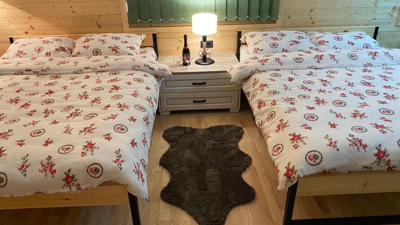 Alexandar Studio Apartman موكرا غورا المظهر الخارجي الصورة
