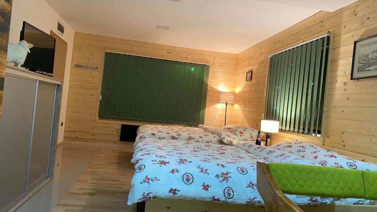 Alexandar Studio Apartman موكرا غورا المظهر الخارجي الصورة